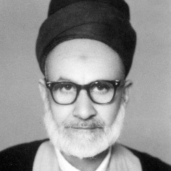 معرض صور نادرة وعالية الجودة للمرحوم السيد هاشم الحدّاد رضوان الله عليه
