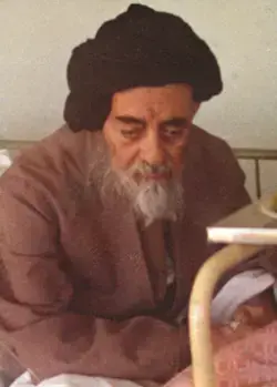 صورة العلامة الطباطبائي في مستشفى آية الله الكلبايكاني قبل ارتحاله